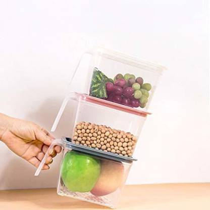 Durable storage containers for fridge and pantry use